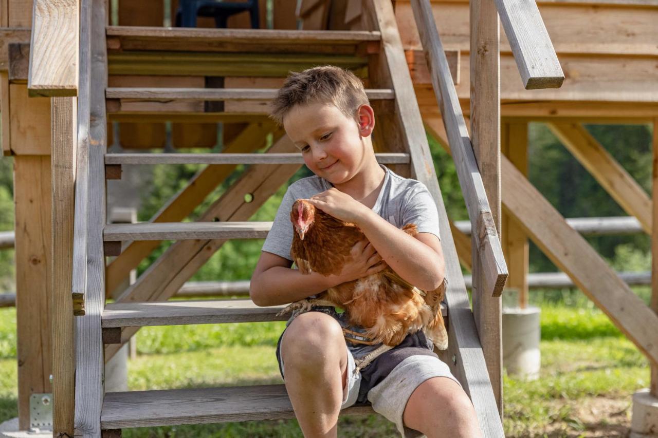 Vila Stembergerhof - Urlaub Am Bauerhof Liesing Exteriér fotografie
